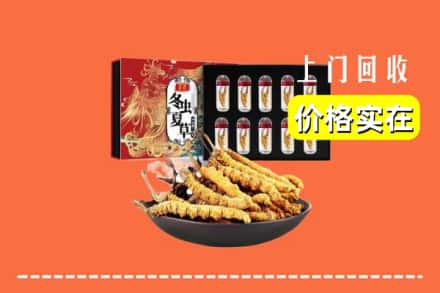 霍州市回收冬虫夏草